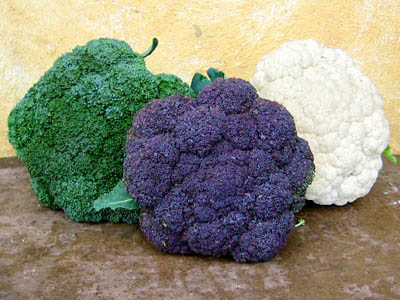 Broccoli - خواص کلم بروکلی - خاصیت های شگفت انگیز بروکلی برای بدن