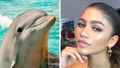 Dolphin skin 2020 390x220 - ترند زیبایی «پوست دلفینی» چیست و چطور می توان به آن دست یافت؟