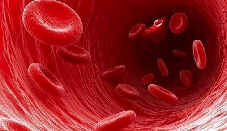 Blood vaghtesobh - راهکار طلایی برای کاهش غلظت خون