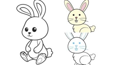 570aaf3dbff919707bf1f42e8d5a34c3 donoghte.com  1000x600 390x220 - ۳۰ نقاشی خرگوش کودکانه آسان و زیبای ساده و فانتزی عید سال ۱۴۰۲