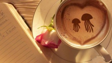 aroos daryayi 390x220 - تعبیر عروس دریایی در فال قهوه در زمینه عشقی و خانوادگی چیست؟